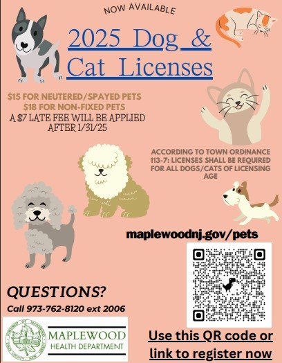 dog license