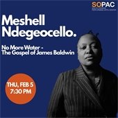 Meshell Ndegeocello