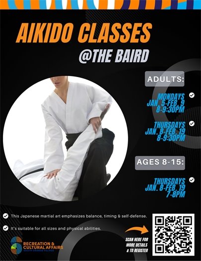 Akido Classes at the Baird