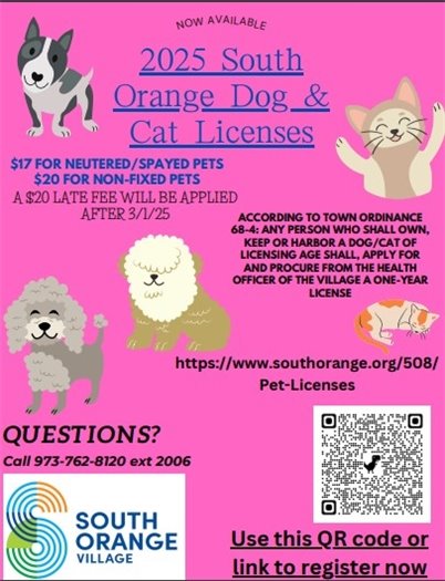 dog license