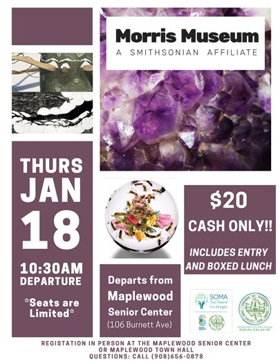 morris museum
