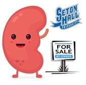 Kidney for sale