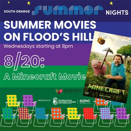 Summer Movies: Minecraft 