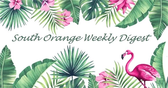 South Orange Weekly Digest