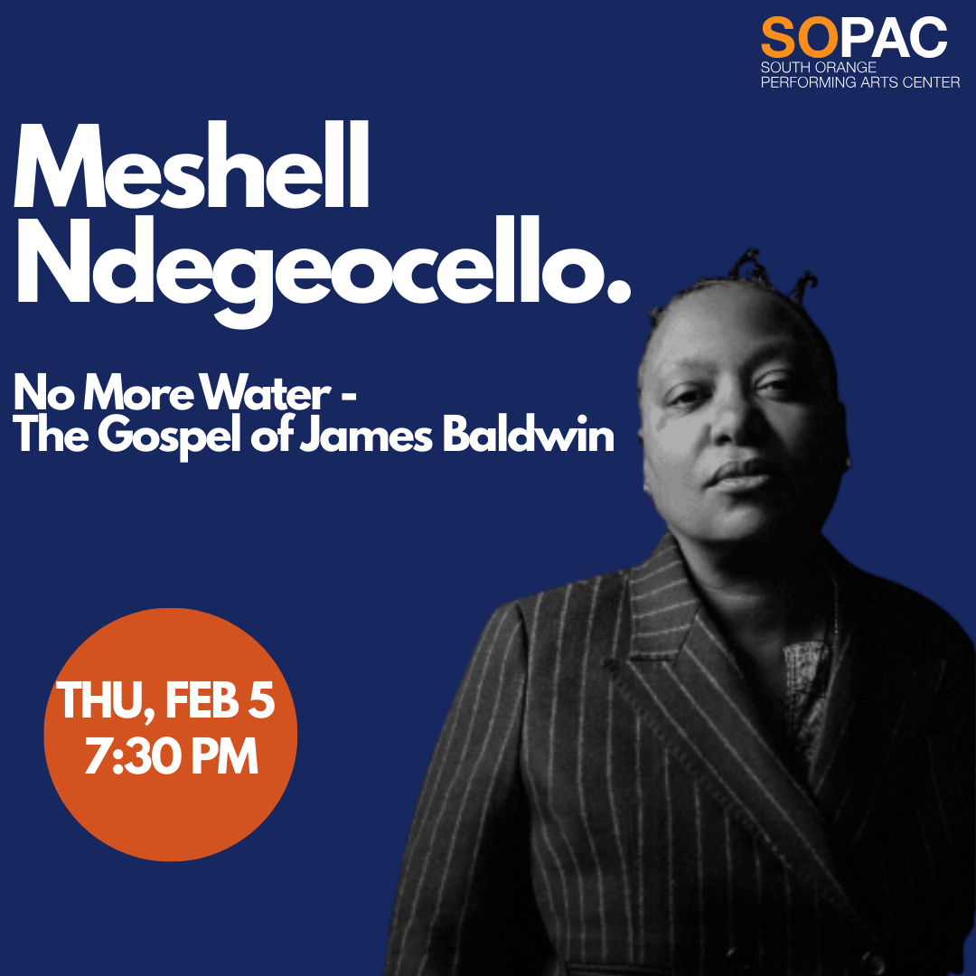 SOPAC Meshell Ndegeocello