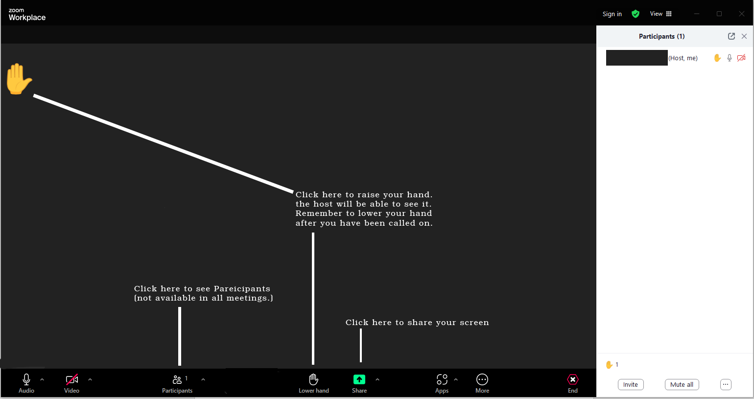 Zoom 4 with hand screen and participants copy